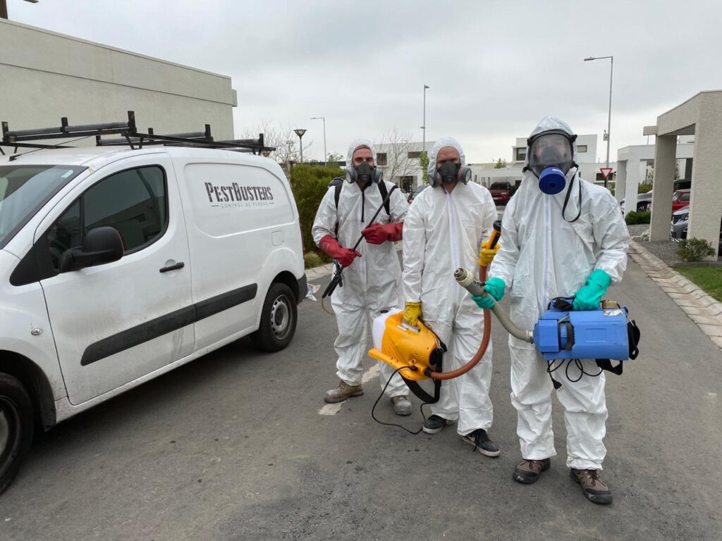 Control de Plagas - Portafolio - PestBusters